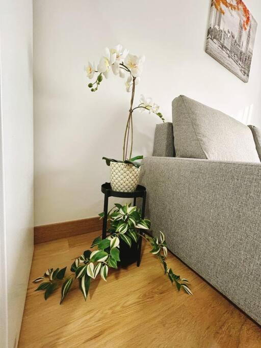 Apartment In The Heart Of Málaga Buitenkant foto